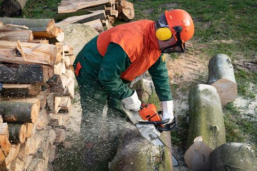 Holzfäller