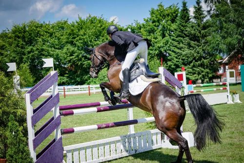Springreiten
